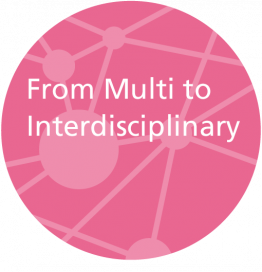 From Multi to Interdisciplinary